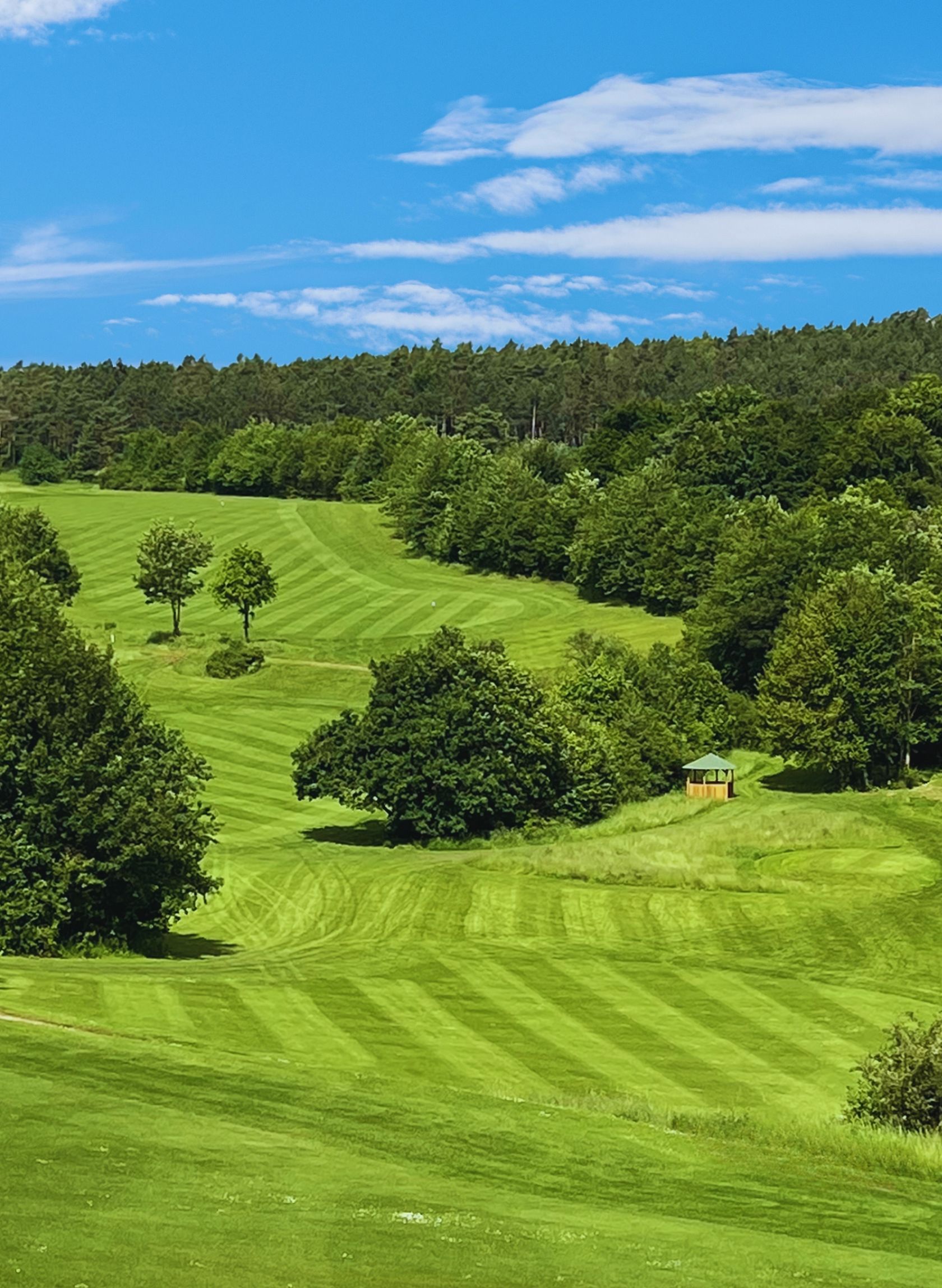 Golf Bad Münstereifel Panorama auf Bahn 16