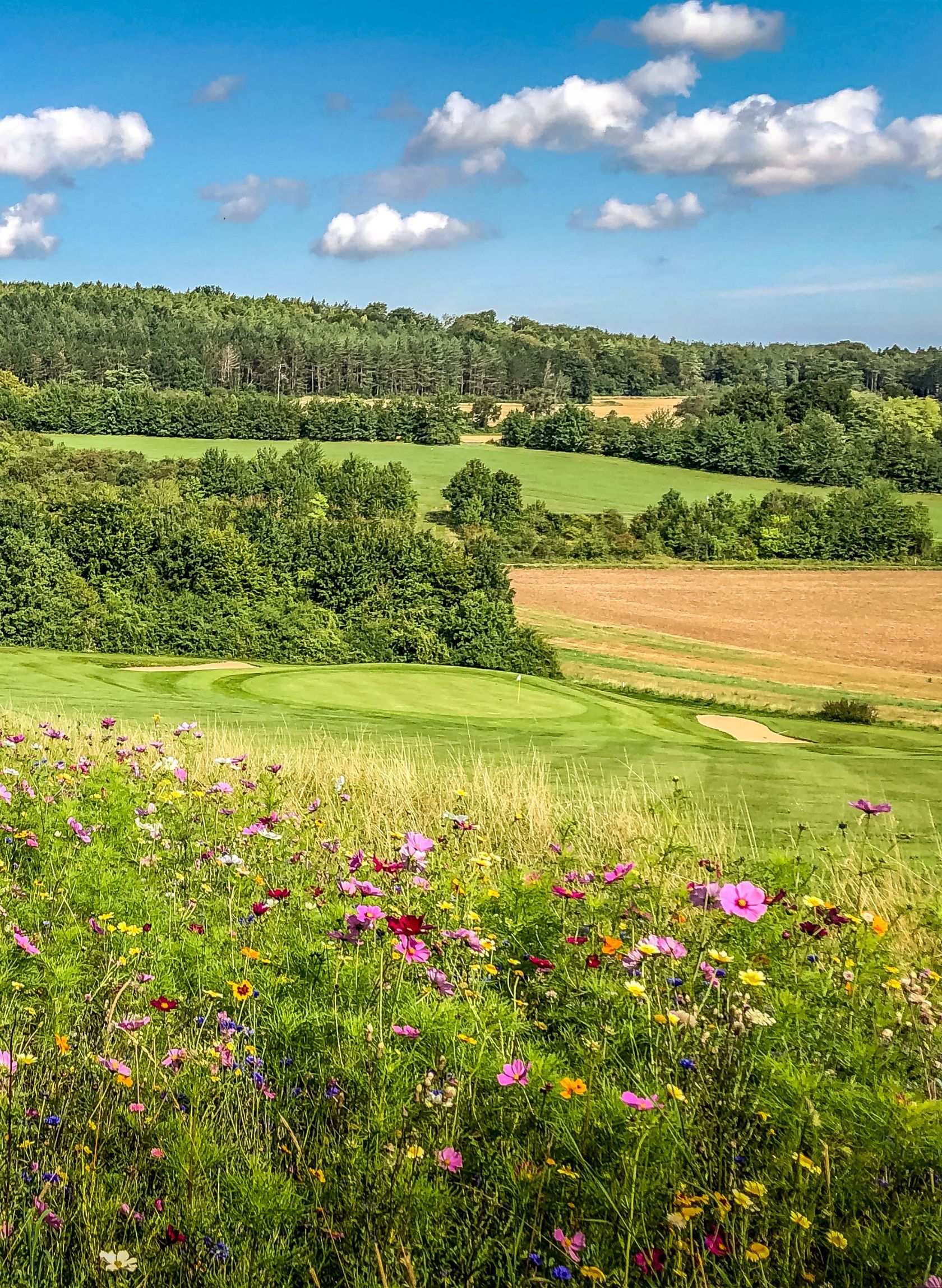 Golf Bad Münstereifel Panorama auf Bahn 14
