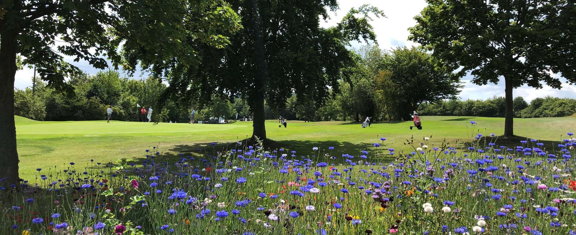 Golf Bad Münstereifel Blick auf Green 1